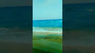 Car driving at beautiful seaside#shorts #yt shorts#doha #amazing #Beautifulqatar #sea beach