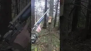 Выстрел по книге.