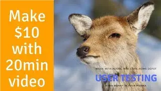 Make Money Online  - User Testing - Easy 10USD per 20min video