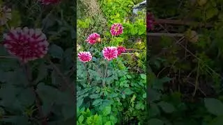 Пейзажи деревни 2