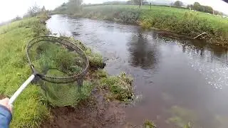 Dollaghan Trout in high fast water.