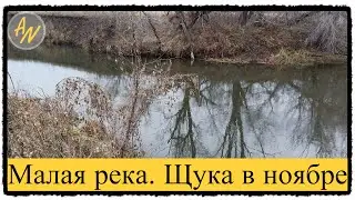 Щука ноября 2022 на малой реке