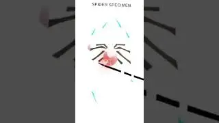 Edit from discord #memes #meme #memesdaily #funny #funnyvideo #edit #spiderman