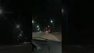 Traffic police before fishing is not a good sign. 
