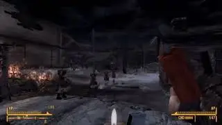 Fallout NV1