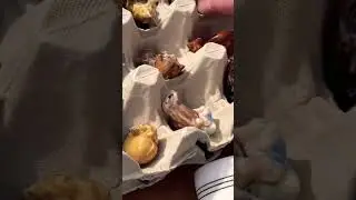 Барахолка в Англии.Что продают.Миниатюрные фигурки