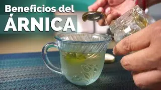 Benefits of ARNICA TEA