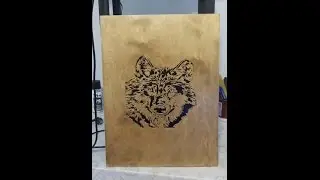 18. Волк портрет. Wolf  Portrait.