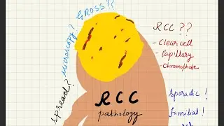 RENAL CELL CA l RCC l Robbins v.important topic✅✅  #pathologyconcepts #neetpg  #mbbs
