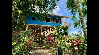 Ocean-View Eco Home for Sale in Southern Costa Rica | RE/MAX Jungle Properties Virtual Tour 🌿