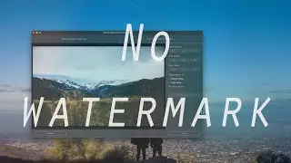 The Best Software to Remove Watermark from Video and Picture in 2021!