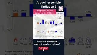 A QUOI ressemble l'INFLATION  ?