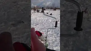 ВЕСЕЛАЯ ЖЕЛЕЗЯКА / ЛЕДОБУР
