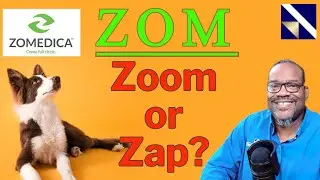 Does Zomedica stock ZOM have what it takes to help our pets? | VectorVest