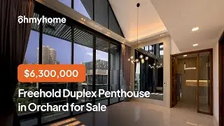 $6.3M Freehold Duplex Penthouse in Prime D10 with City Views