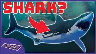 What Shark?