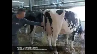 0200HO00402 Mainstream Manifold Dec 2012.mp4