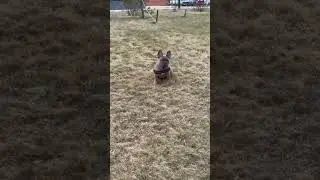 Красавчик Гера🥰