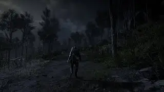 Night adventures - RDR2 || Played on STADIA