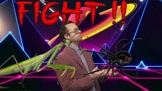 Praying Mantis vs Black Widow Crazy Fight!