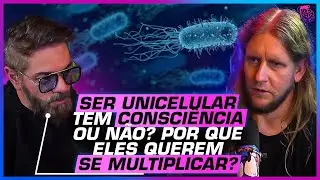"A VIDA PROVAVELMENTE SURGIU da..." ESTROMATÓLITOS: A FORMA de VIDA MAIS ANTIGA da TERRA?