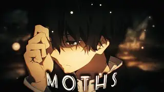 Moths - Aussi
