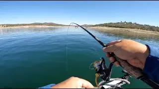 Folsom Lake is LOW, but I Figured Out a STRANGE bite