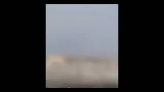 Можно ли в исламе🕌 держать дома🏡 собаку🐕‍🦺?