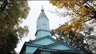 Православний Вісник від 15 листопада 2020 р.