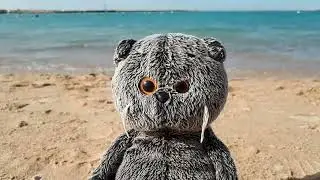 Басик на море. Счастливый Бася
