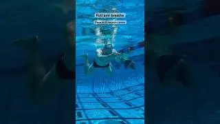 Steal this breaststroke tutorial from me 