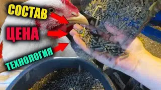 Самодельный Гранулированный КОМБИКОРМ для кур НЕСУШЕК