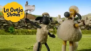 La Oveja Shaun 🐑 Perro con piel de oveja 🐑 Dibujos animados para niños