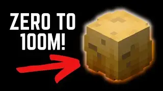 Zero To $100 Million Coins in Hypixel Skyblock!