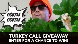 Help Us Find the Wild Gummy Turkey Roaming Our Offices! | Turkey Call Contest