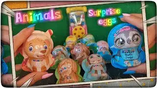 We Are Opening Surprise Eggs With Animal Figures