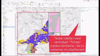 Sett Extent for Polygon to Raster