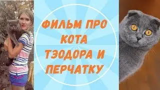 Фильм про кота/  Перчатка для снятия шерсти / Для животных