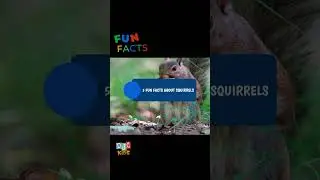 Squirrel Shenanigans in 60 Seconds: Nutty Facts for DJC Kids! 🐿️🌰 