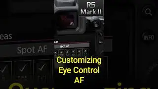 Customizing Eye Control AF on the EOS R5 Mark 2