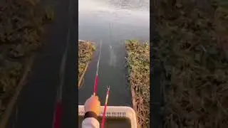 Вот это удача. Зачастую такое бывает на рыбалках...😂😂😂