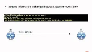 OSPF Neighbor Adjacencies