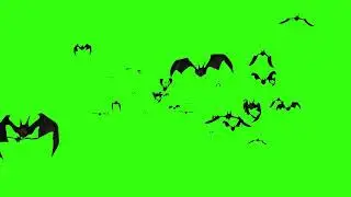 Bat Flying Greenscreen Free Copyright