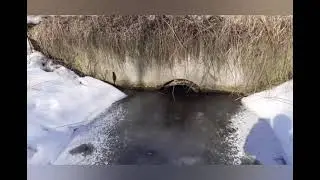Содержание семей по методу С.Гопка, приостаноалено.