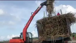 Sugar cane loader working in the farm wheeled excavators used in agriculture and forest loading