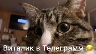 Да ладно