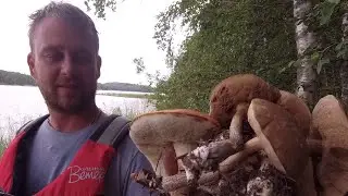 За грибами в ШХЕРЫ на Ладожское озеро .Карельские шхеры в районе Койриноя .  Карелия .Август 2023