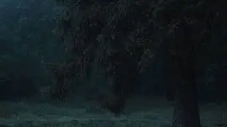 название съел Неил