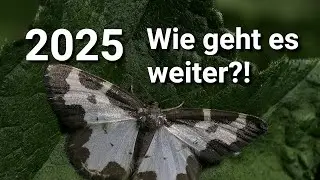 Wie geht es 2025 auf meinem Kanal weiter?  