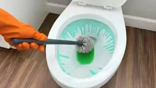 Bleach or Acid for Toilet Bowl Cleaning?